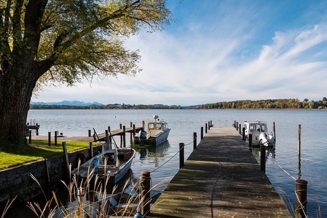 育場的現代 育場的現代