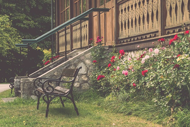 到球队的运 到球队的运