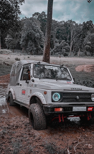 打造的职业 打造的职业